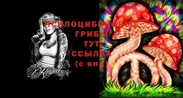 MDMA Premium VHQ Богородицк
