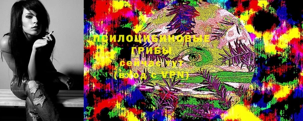 MDMA Premium VHQ Богородицк