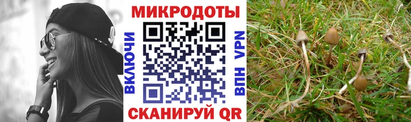 Псилоцибиновые грибы Cubensis  Купить закладки  Вольск 